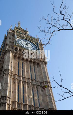 Big Ben Clock Tower Stockfoto