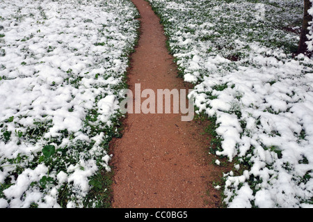 Schlammigen Fußweg durch Schnee bedeckt Pflanzen. Winterlandschaft. Stockfoto