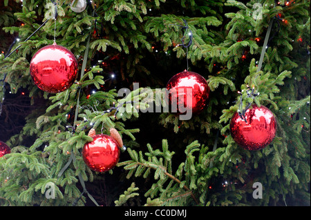 Rote Kugeln hängen als Weihnachtsschmuck auf einem grünen Weihnachtsbaum Stockfoto