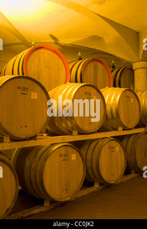 Wein Reifung in Eichenholzfässern im Gewölbekeller in Montalcino, Toskana (Toscana), Italien Stockfoto