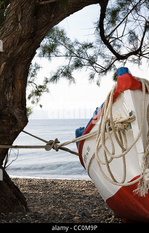 alten griechischen Fischerboot unter Baum am Strand von Molyvos - lesbos Stockfoto