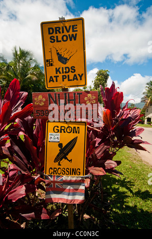 Niedliches Schild, Grom Crossing, Kinder im Spiel, kauai, hawaii, Stockfoto