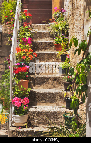 Detailansicht einer Treppe mit bunten Blumen in der alten Stadt Trogir, Dalmatien, Kroatien, Europa Stockfoto