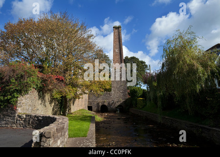 19. Jahrhundert Whisky Brennerei Schornstein, Clashmore, Grafschaft Waterford, Irland Stockfoto