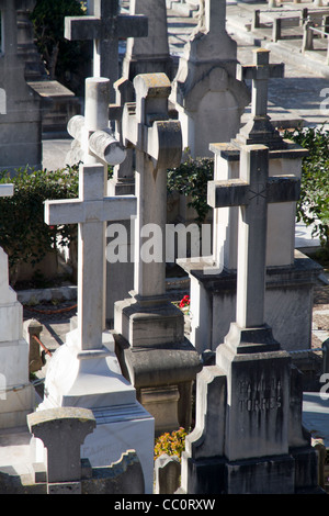 Friedhof in Palma de Mallorca-Mallorca-Balearen-Spanien Stockfoto