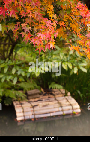 Autmn oder Herbst Farbe an einem Bach auf dem Gelände des Tenryu-Ji-Tempel in Arashiyama, am Stadtrand von Kyoto, Japan. Stockfoto