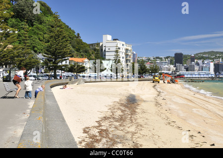 Wellington Oriental Parade Promenade und Oriental Bay Beach, Neuseeland. Stockfoto