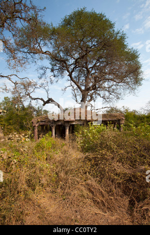 Jagdschloss Ruinen durch den Eingang zum Ranthambhore National Park, Rajasthan, Nordindien Stockfoto