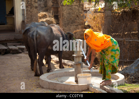 Indische Frau Dorfbewohner Pumpen von Wasser aus einem Brunnen in Sawai Madhopur in Rajasthan, Nordindien Stockfoto