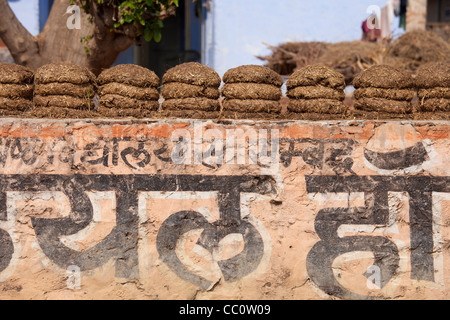 Indianerdorf mit getrockneten Kuhdung als Brennstoff in Sawai Madhopur in Rajasthan, Nordindien nach Hause Stockfoto