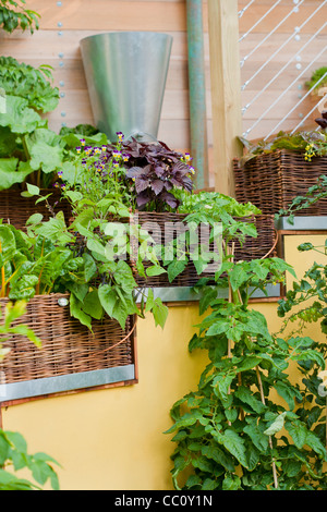 Wicker-Container auf der Treppe mit Esswaren in zeitgenössischer Garten gepflanzt. Stockfoto