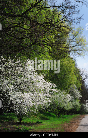 Landstraße, Ukraine Stockfoto