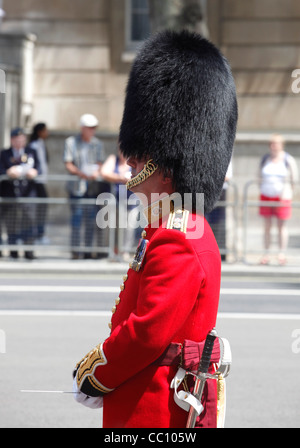 Militärkapelle tragen Bärenfellmützen an Veteranen Tag in London, England Stockfoto