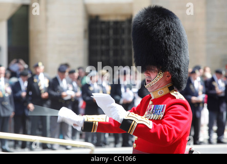 Militärkapelle tragen Bärenfellmützen an Veteranen Tag in London, England Stockfoto