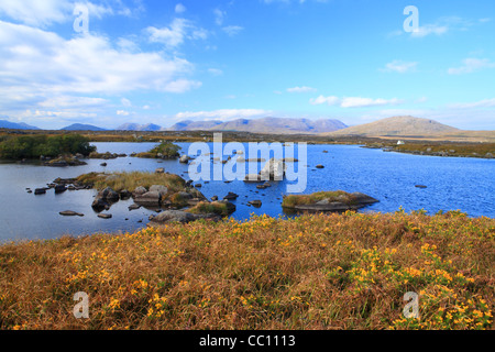 Mit Blick auf die Twelve Bens. Connemara. Irland Stockfoto