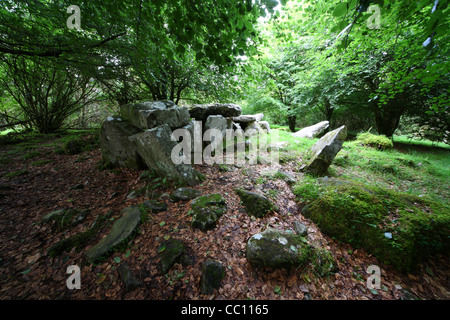 Das Burren Keil Grab oder den Riesen Sprung. Co. Cavan. Irland Stockfoto