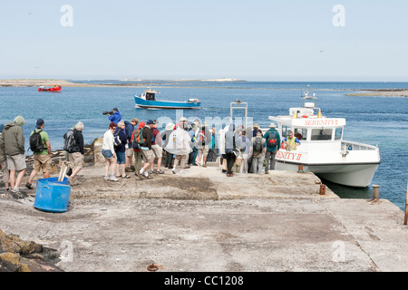 Touristen, die Schlange und ein Boot auf dem inneren Farne Stockfoto