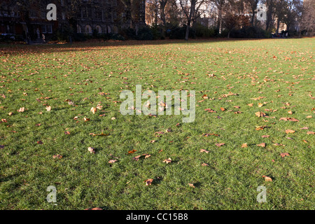 im Herbst Laub weht über Victoria Tower Park im Westminster London England UK United kingdom Stockfoto