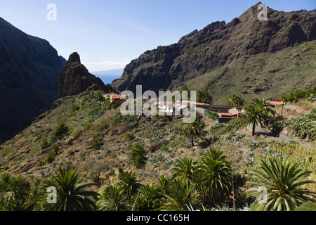 Masca, Schaufenster Tourismus Bergdorf in Buenavista del Norte Region von Teneriffa. Stockfoto