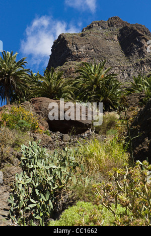 Masca, Schaufenster Tourismus Bergdorf in Buenavista del Norte Region von Teneriffa. Stockfoto