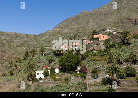 Masca, Schaufenster Tourismus Bergdorf in Buenavista del Norte Region von Teneriffa. Stockfoto