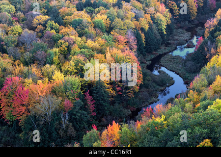 Der Karpfen-Fluss und die Herbst Baldachin von Ottawa National Forest und Porcupine Mountains State Park in obere Halbinsel von Michigan. Stockfoto