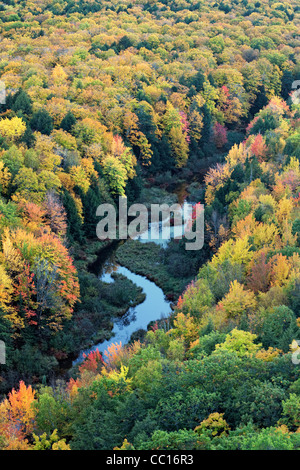 Der Karpfen-Fluss und die Herbst Baldachin von Ottawa National Forest und Porcupine Mountains State Park in obere Halbinsel von Michigan. Stockfoto