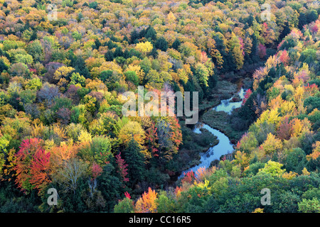 Der Karpfen-Fluss und die Herbst Baldachin von Ottawa National Forest und Porcupine Mountains State Park in obere Halbinsel von Michigan. Stockfoto