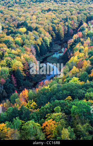 Der Karpfen-Fluss und die Herbst Baldachin von Ottawa National Forest und Porcupine Mountains State Park in obere Halbinsel von Michigan. Stockfoto