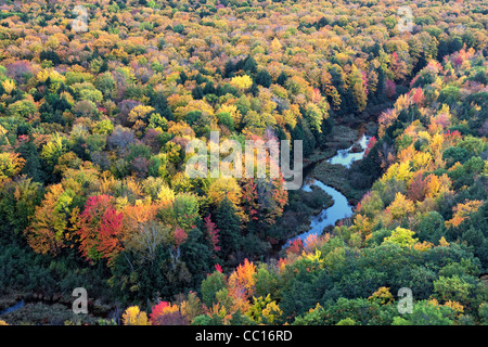 Der Karpfen-Fluss und die Herbst Baldachin von Ottawa National Forest und Porcupine Mountains State Park in obere Halbinsel von Michigan. Stockfoto