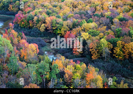 Der Karpfen-Fluss und die Herbst Baldachin von Ottawa National Forest und Porcupine Mountains State Park in obere Halbinsel von Michigan. Stockfoto