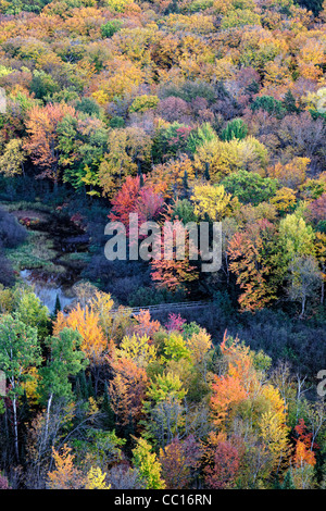 Der Karpfen-Fluss und die Herbst Baldachin von Ottawa National Forest und Porcupine Mountains State Park in obere Halbinsel von Michigan. Stockfoto