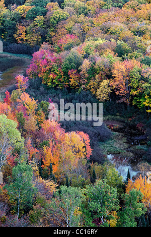 Der Karpfen-Fluss und die Herbst Baldachin von Ottawa National Forest und Porcupine Mountains State Park in obere Halbinsel von Michigan. Stockfoto