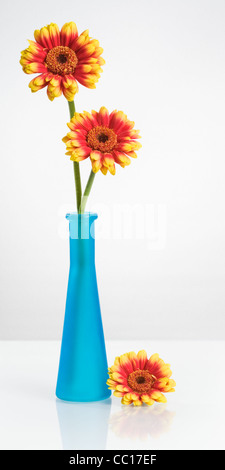 Glasvase mit Orangen und gelben Gerbera Blumen-Gänseblümchen Stockfoto