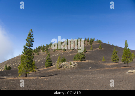 Die Samara Vulkan Wanderwege, Ansatz auf den Teide, Teneriffa. Mt Samara. Stockfoto