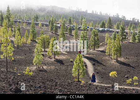 Die Samara Vulkan Wanderwege, Ansatz auf den Teide, Teneriffa. Stockfoto