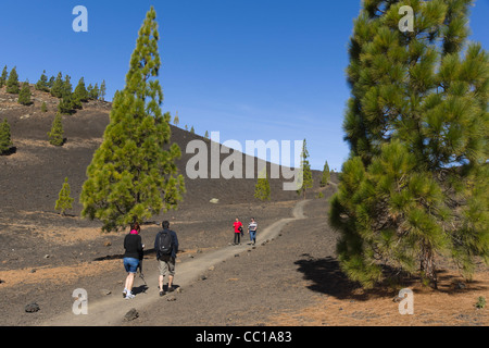 Die Samara Vulkan Wanderwege, Ansatz auf den Teide, Teneriffa. Wanderer auf dem markierten Weg. Stockfoto