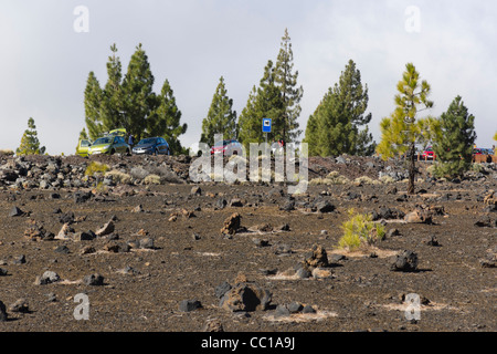 Die Samara Vulkan Wanderwege, Ansatz auf den Teide, Teneriffa. Parkplatz-Zufahrt von der Straße. Stockfoto