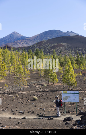 Die Samara Vulkan Wanderwege, Ansatz auf den Teide, Teneriffa. Informationen und Karte Board mit junge Frau Walker Studium Karte Stockfoto