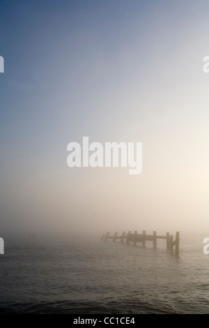 Gebrochene Küstenschutzes eingehüllt in frühen Morgennebel in den frühen Morgennebel bei Happisburgh, Norfolk, Großbritannien. Stockfoto