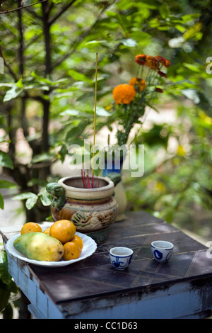 Obst und Räucherstäbchen werden in einem Schrein im Garten auf einem Familienbauernhof, Tay Ninh, Vietnam angeboten. Stockfoto