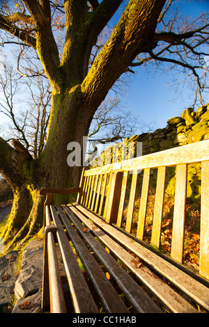 Denkmal Platz auf Orrest Head oben Windermere im Lake District, Cumbria, England. Stockfoto