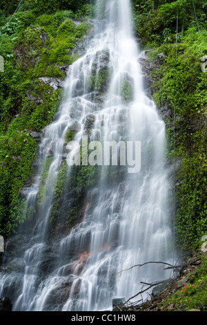 Baiyu fällt, beinan Township, Taitung, Taiwan. Über 50 Meter hoch, in Strömen eine steile Felswand, Kaskaden aus Berg, phytoncides in Luft Stockfoto