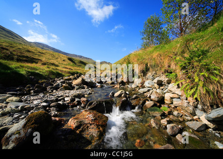 Gebirgsbach fließt von den Maumturk Mountains ins Glenlosh-Tal. Connemara. Co. Galway Stockfoto