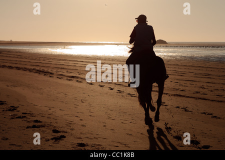 Silhouette eines Pferdes und eines Fahrers am Strand, Essaouira, Marokko Stockfoto