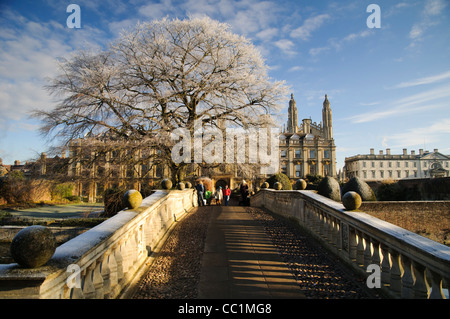 Buche von Clare Bridge, Cambridge, im Winter. Stockfoto