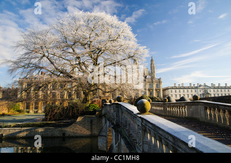 Buche von Clare Bridge, Cambridge, im Winter. Stockfoto