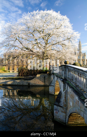 Buche von Clare Bridge, Cambridge, im Winter. Stockfoto