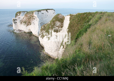 Old Harry Rocks. Massive Kreide Stapel stehen direkt neben den schwindelerregenden Kalksteinfelsen der Purbeck Küste. Dorset, England, Vereinigtes Königreich. Stockfoto