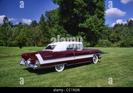 1955-Packard Caribbean Stockfoto